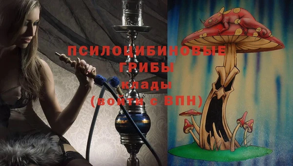 соль курить ск Краснослободск