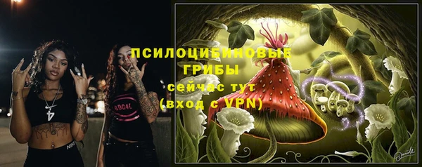 соль курить ск Краснослободск